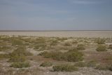 Озеро Булухта, image of landscape/habitat.