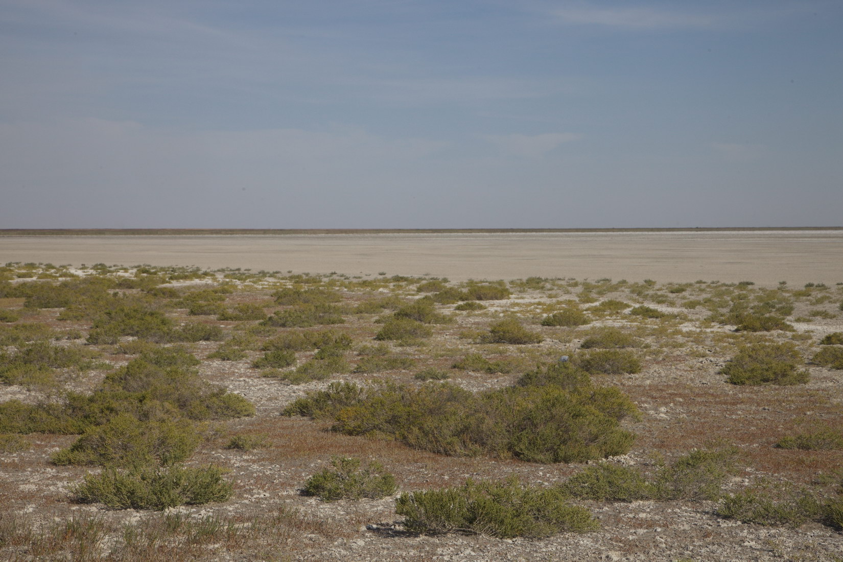 Озеро Булухта, image of landscape/habitat.