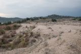 Image of landscape