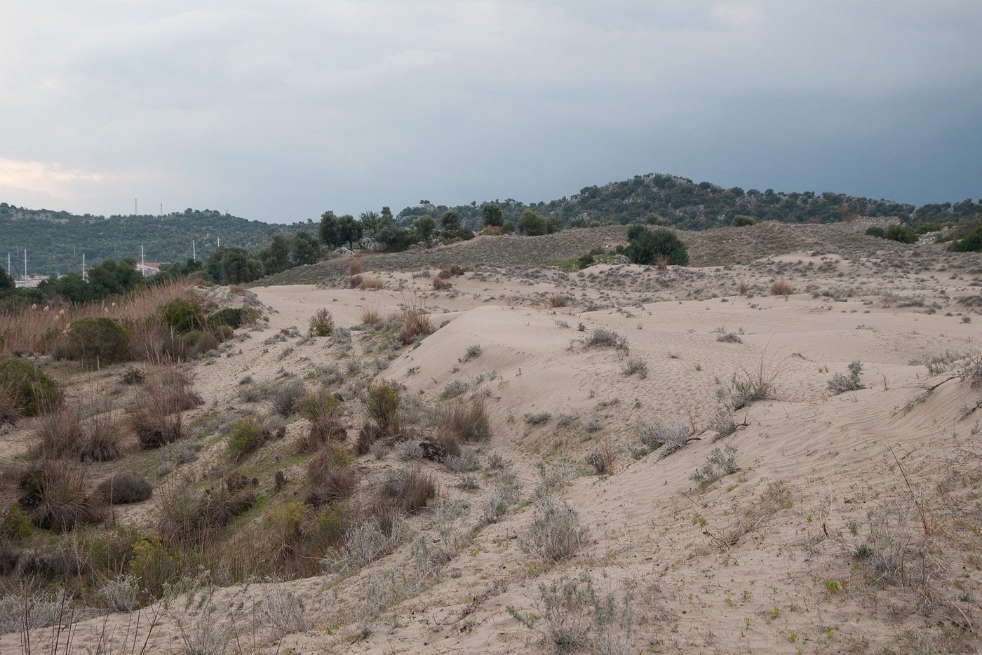 Пляж Чайагзы, image of landscape/habitat.