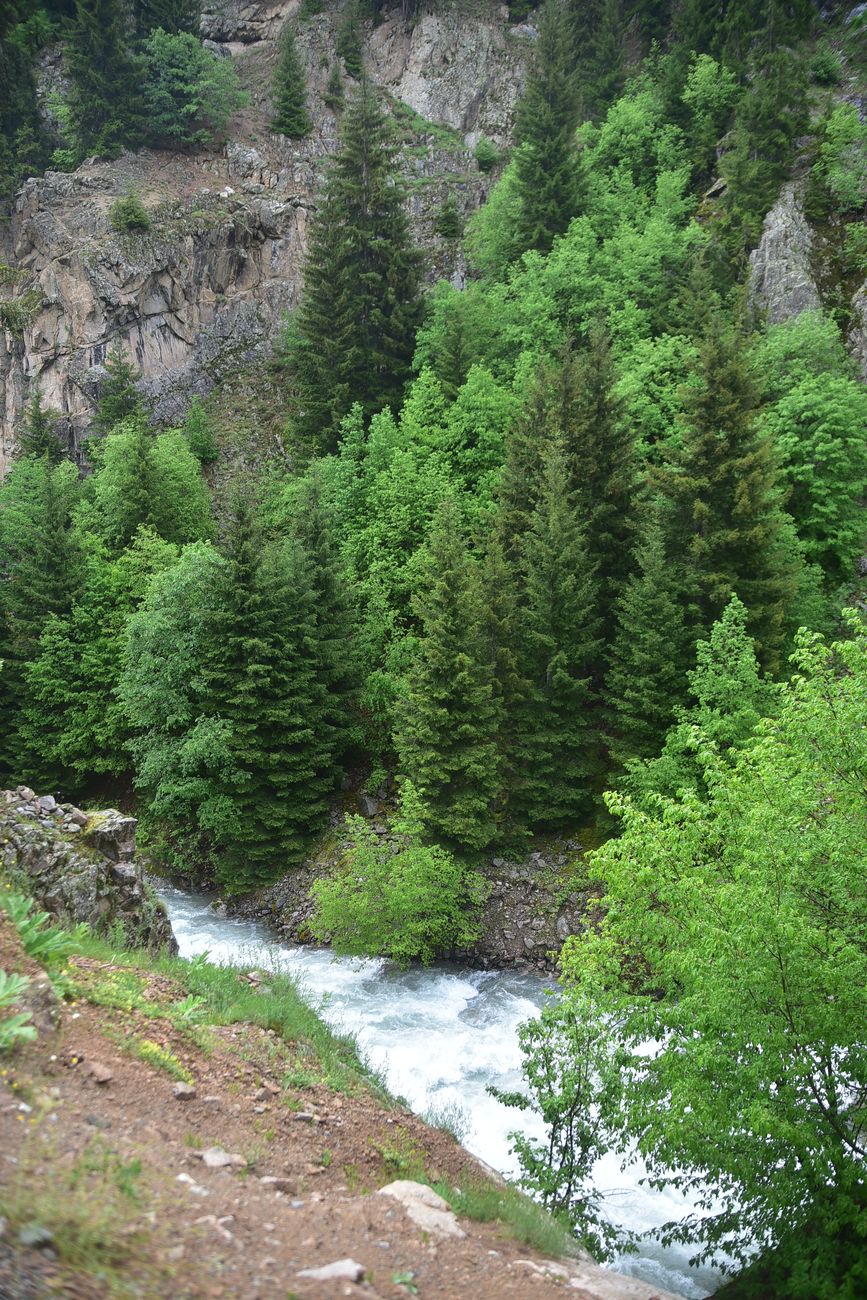 Водопад на притоке, image of landscape/habitat.