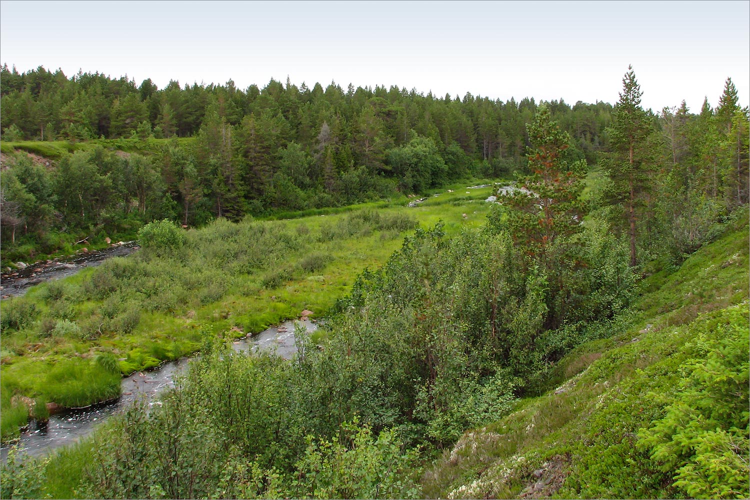 Аметистовый берег, image of landscape/habitat.