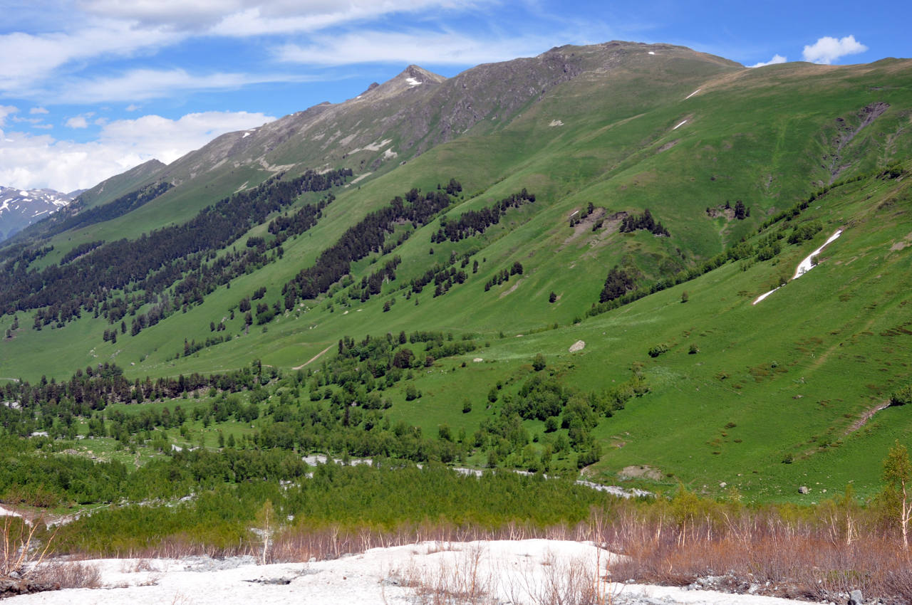 Долина реки София, image of landscape/habitat.