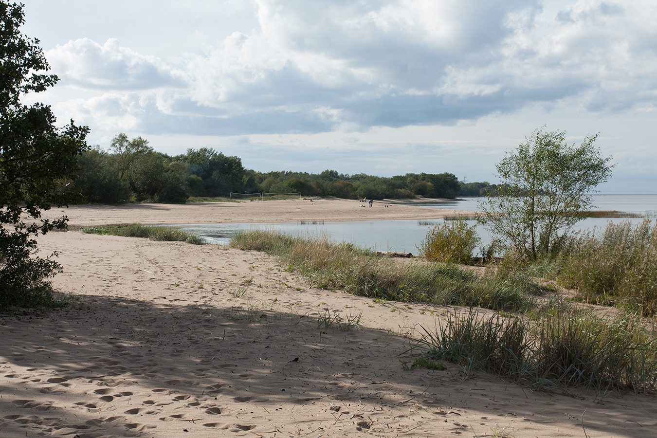 Западный Котлин, image of landscape/habitat.
