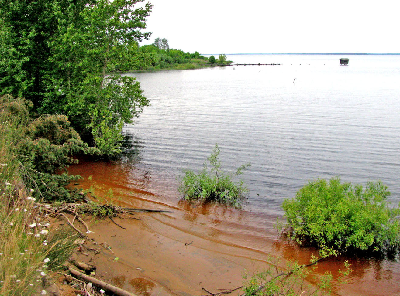 Рыбинское водохранилище, изображение ландшафта.