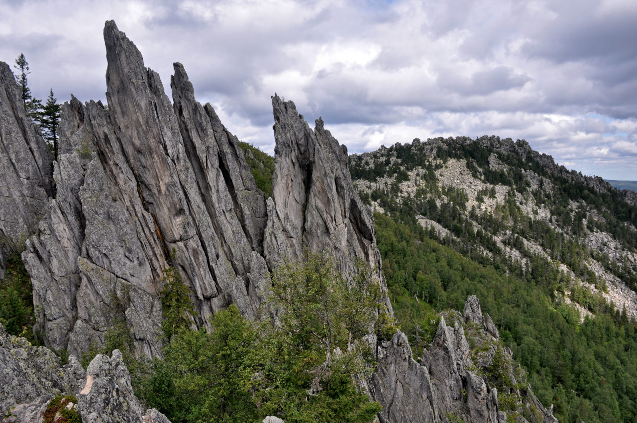 Двуглавая сопка, image of landscape/habitat.