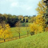 Цаульский парк, image of landscape/habitat.