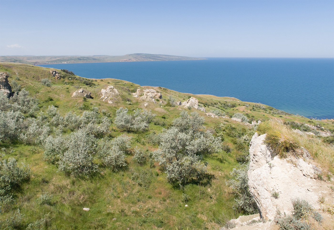 Мыс Газан, image of landscape/habitat.