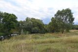 Окрестности деревни Бердовка, image of landscape/habitat.