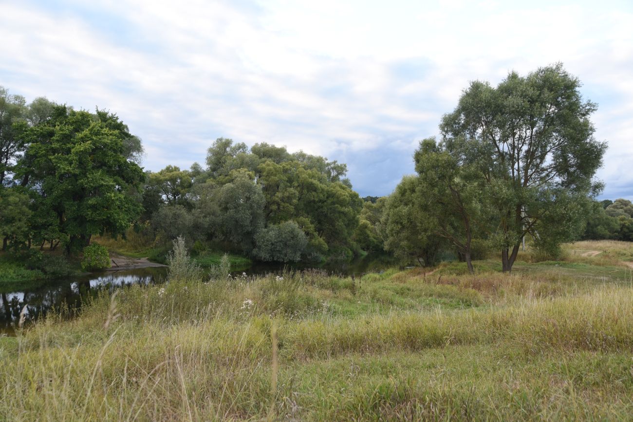 Окрестности деревни Бердовка, image of landscape/habitat.