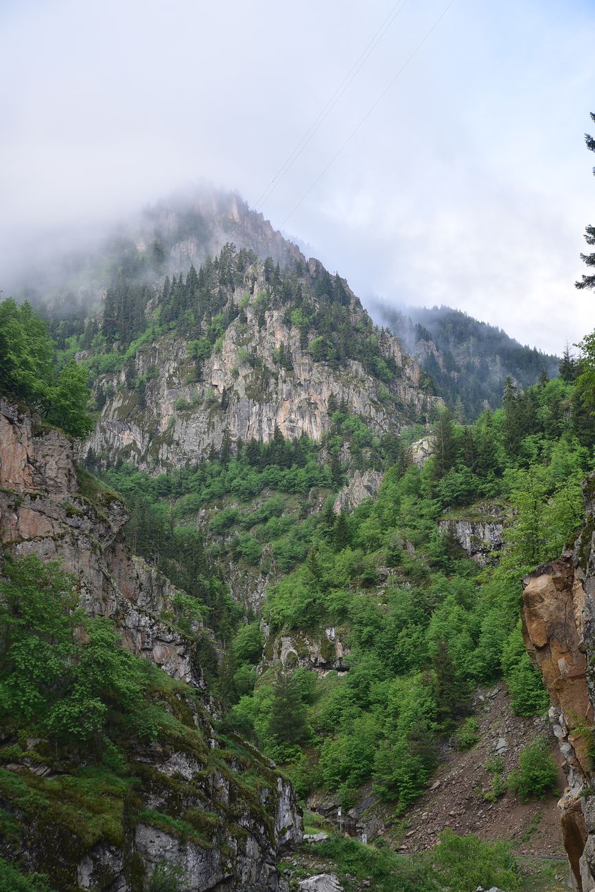 Водопад на притоке, image of landscape/habitat.