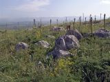 Image of landscape