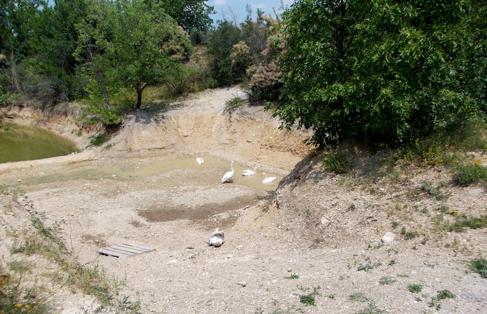 Тайган, image of landscape/habitat.