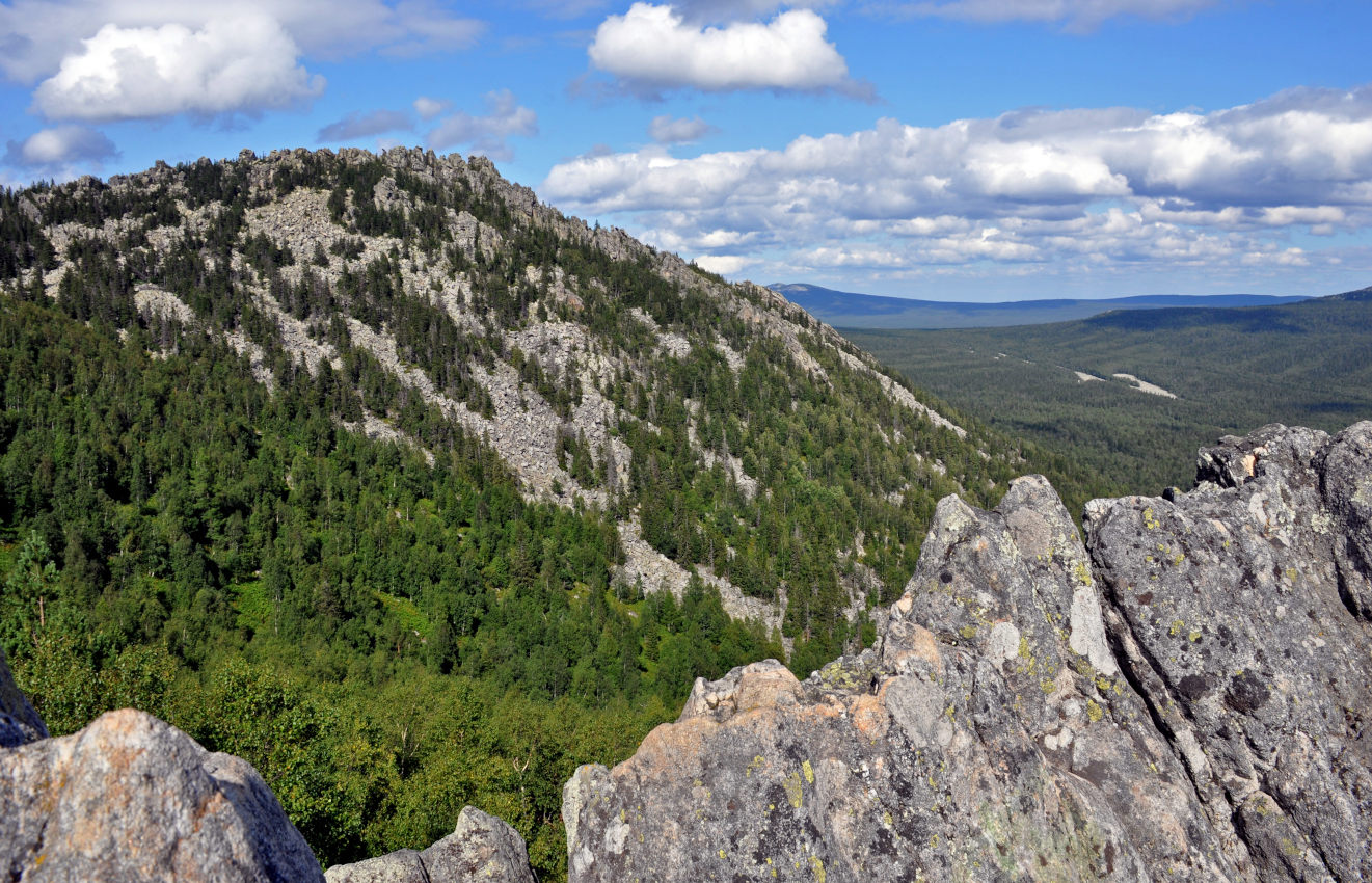 Двуглавая сопка, image of landscape/habitat.