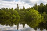 Пятая Гора, image of landscape/habitat.