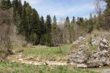 Image of landscape
