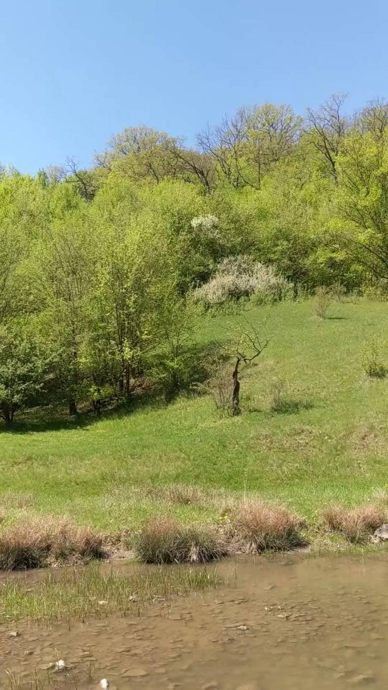 Ла Кастел, image of landscape/habitat.
