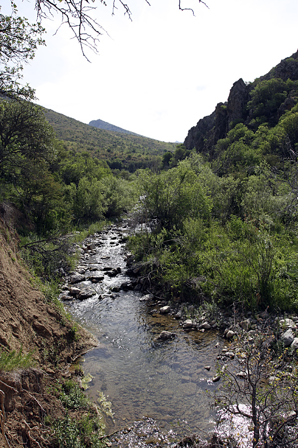 Ущелье Кокбулак, image of landscape/habitat.