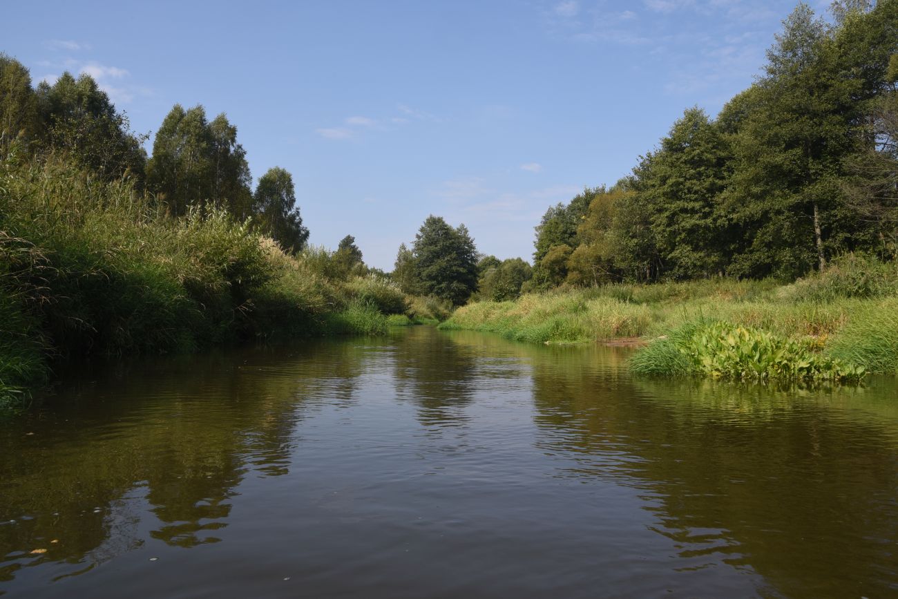 Мелихово, image of landscape/habitat.
