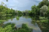 Гостилицы, image of landscape/habitat.