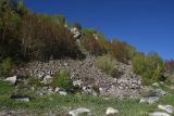 Окрестности озера Ылы, image of landscape/habitat.