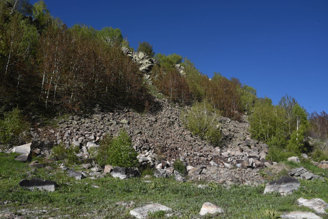 Окрестности озера Ылы, image of landscape/habitat.