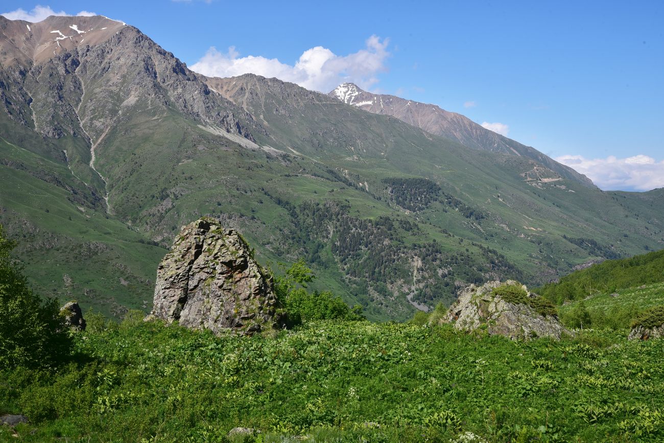 Река Когутайка, изображение ландшафта.