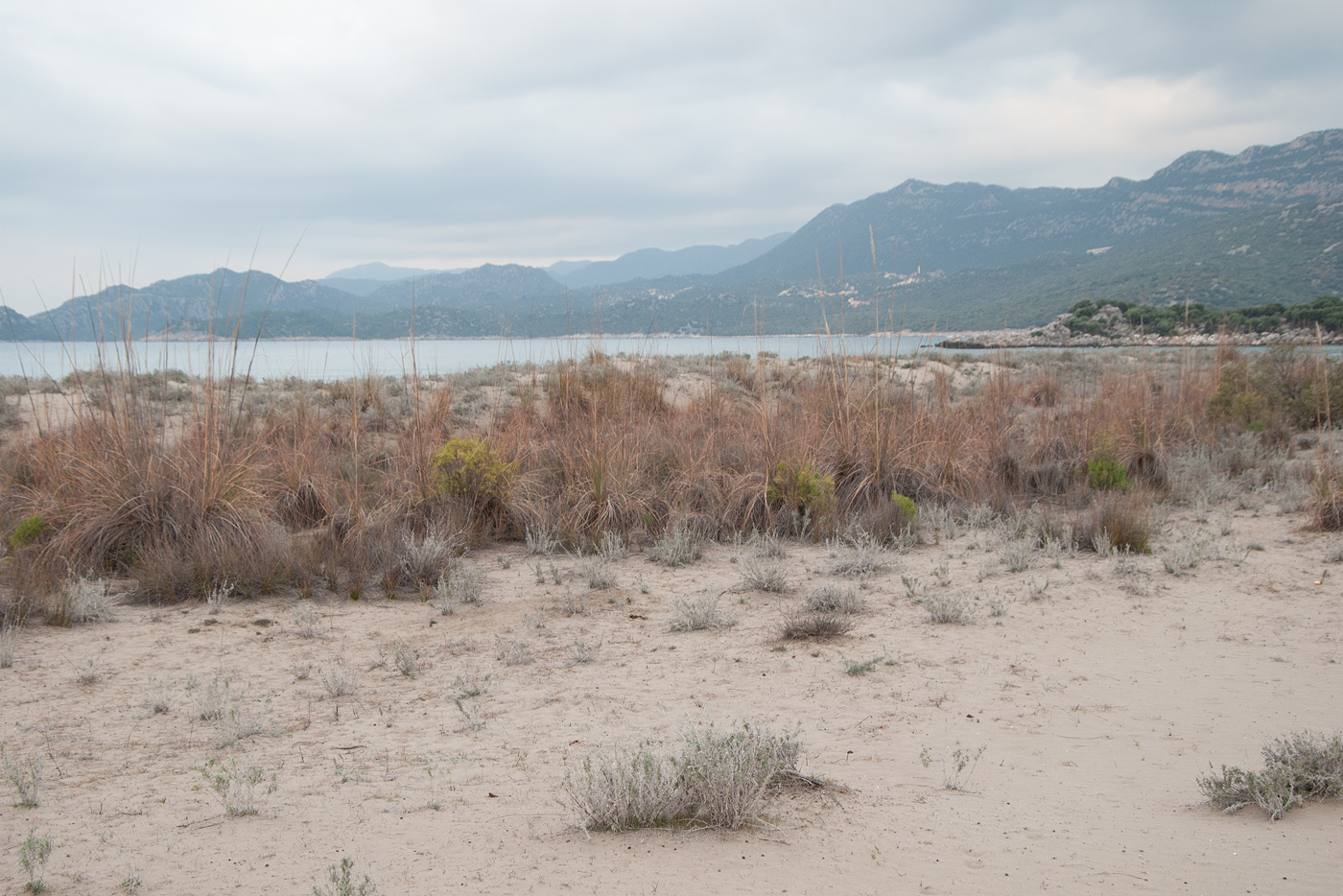 Пляж Чайагзы, image of landscape/habitat.