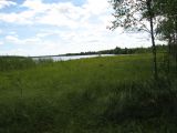 Image of landscape
