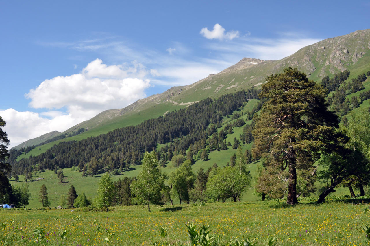 Долина реки София, image of landscape/habitat.