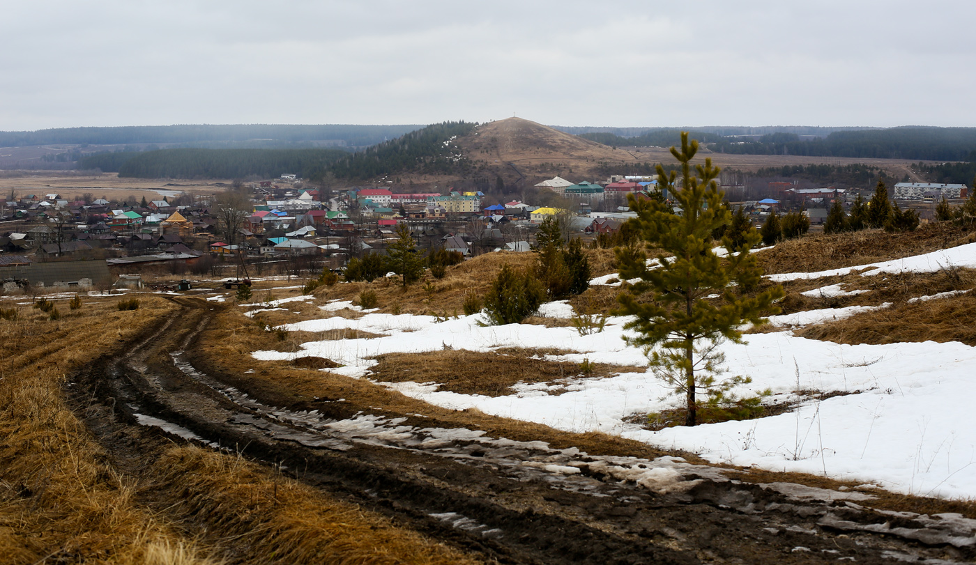 Окрестности села Ключи, image of landscape/habitat.