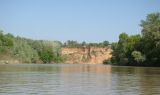 Лаба у станицы Тенгинской, image of landscape/habitat.