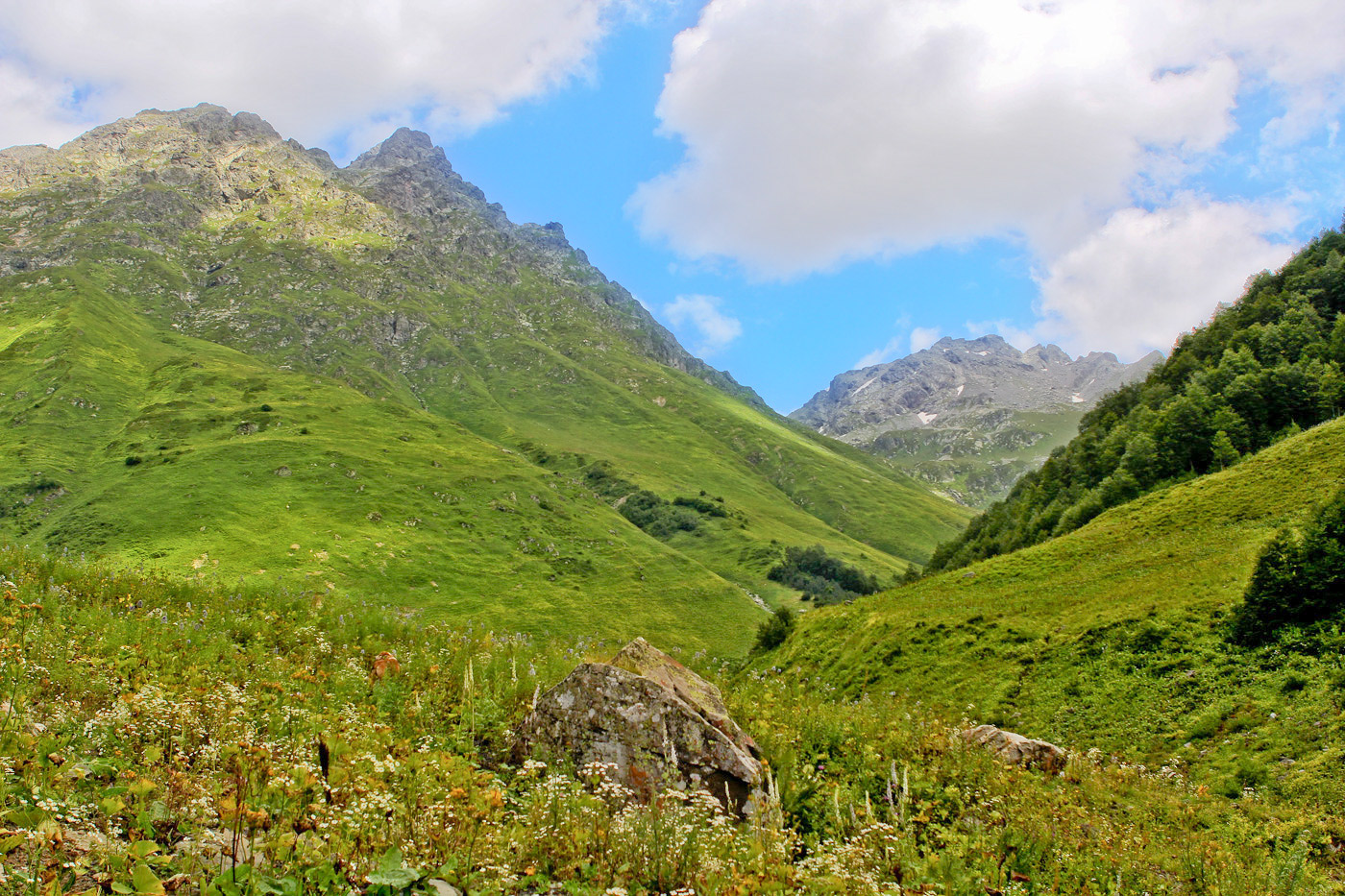 Авадхара (Ауадхара), image of landscape/habitat.