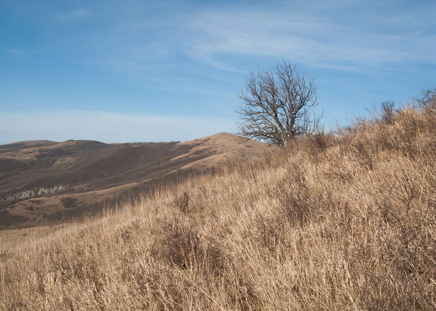 Урочище Солдатский Бугор, image of landscape/habitat.