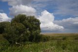 Image of landscape