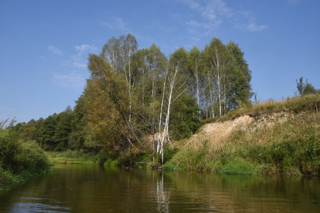 Мелихово, изображение ландшафта.