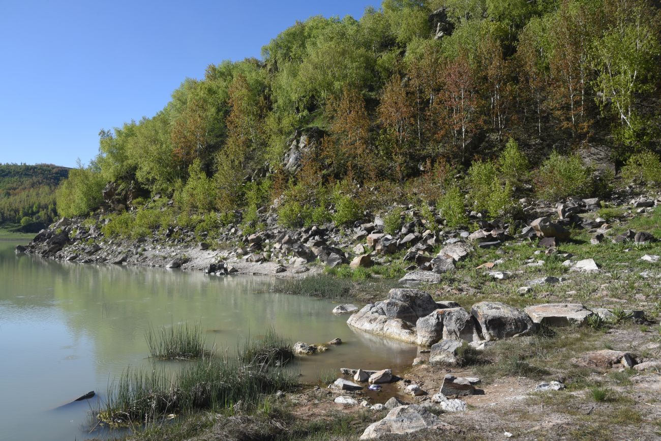 Окрестности озера Ылы, image of landscape/habitat.