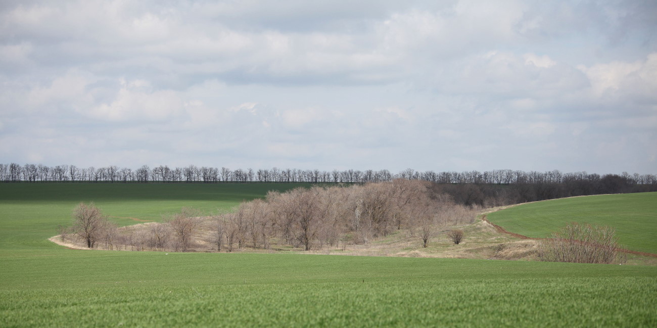 Станица Шкуринская, image of landscape/habitat.