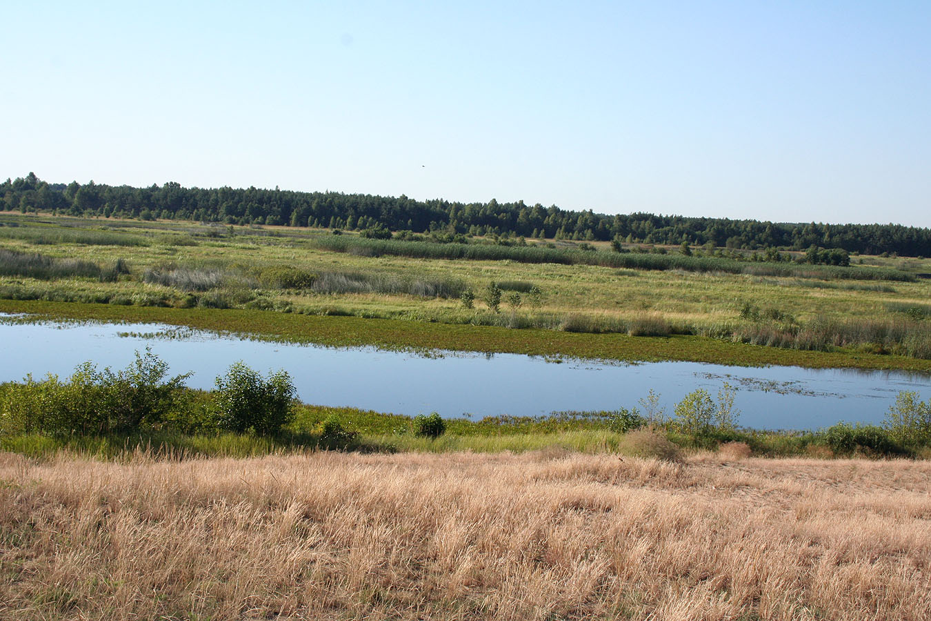 Млын, image of landscape/habitat.