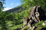 Image of landscape