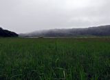 Image of landscape