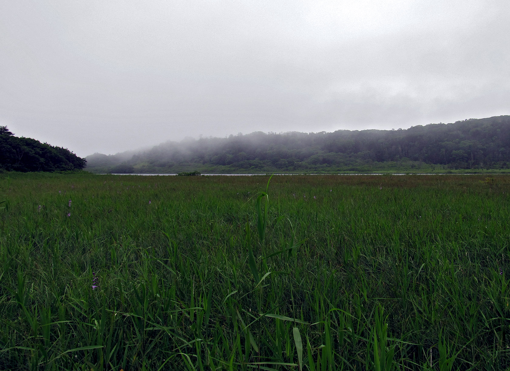 Остров Кунашир, image of landscape/habitat.