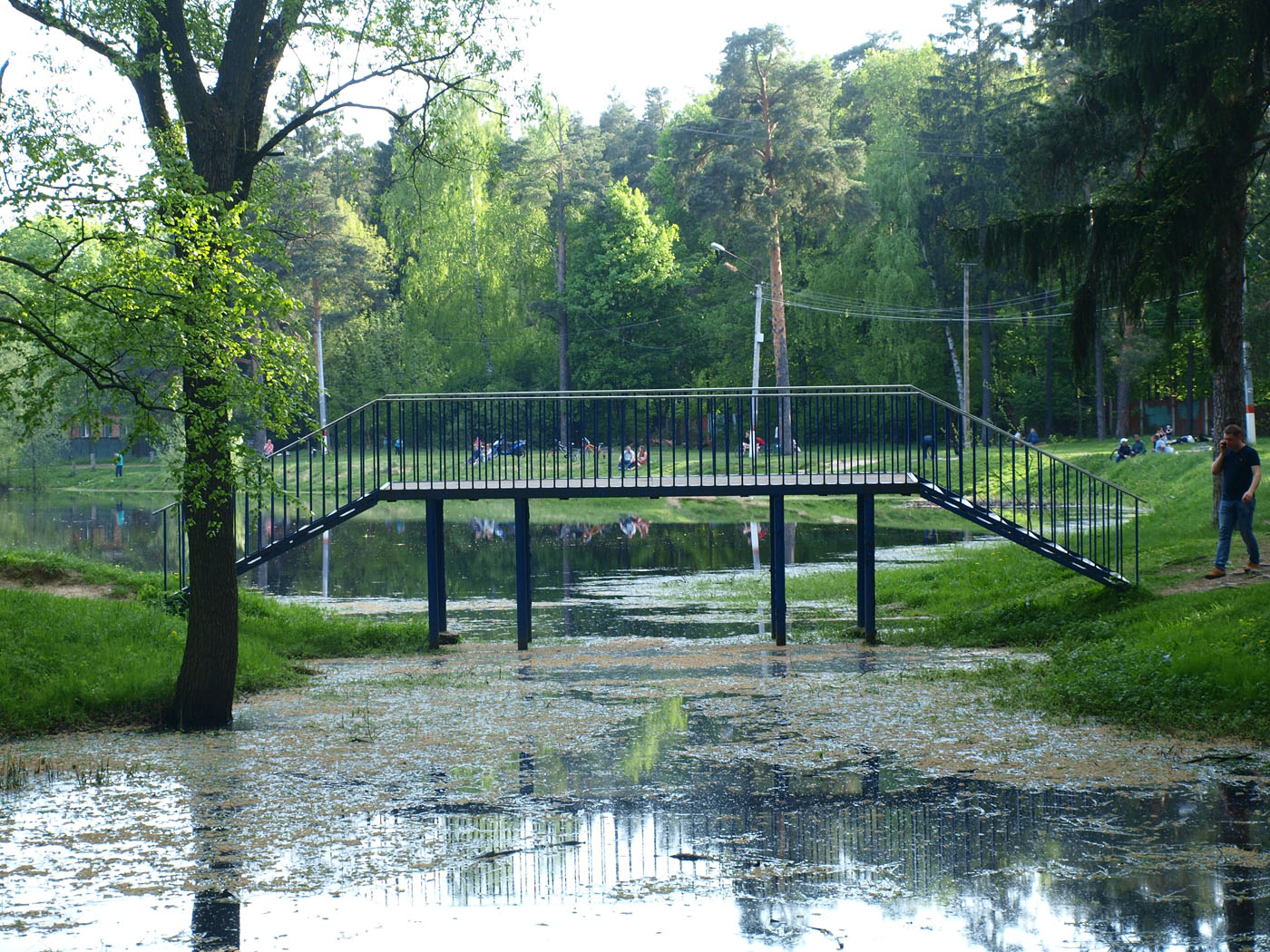 Поселок Ильинский и окрестности, image of landscape/habitat.