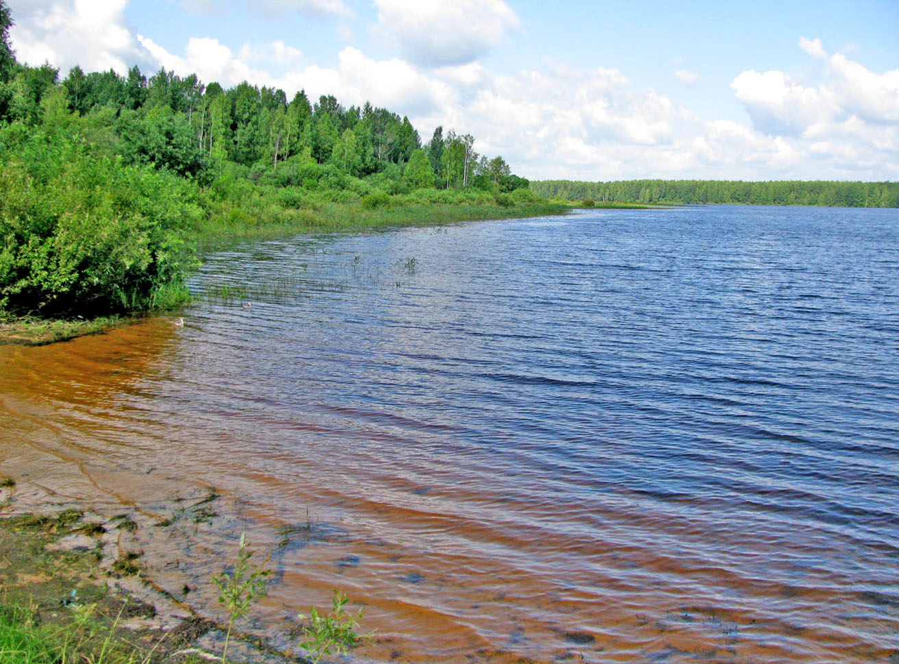 Рыбинское водохранилище, изображение ландшафта.