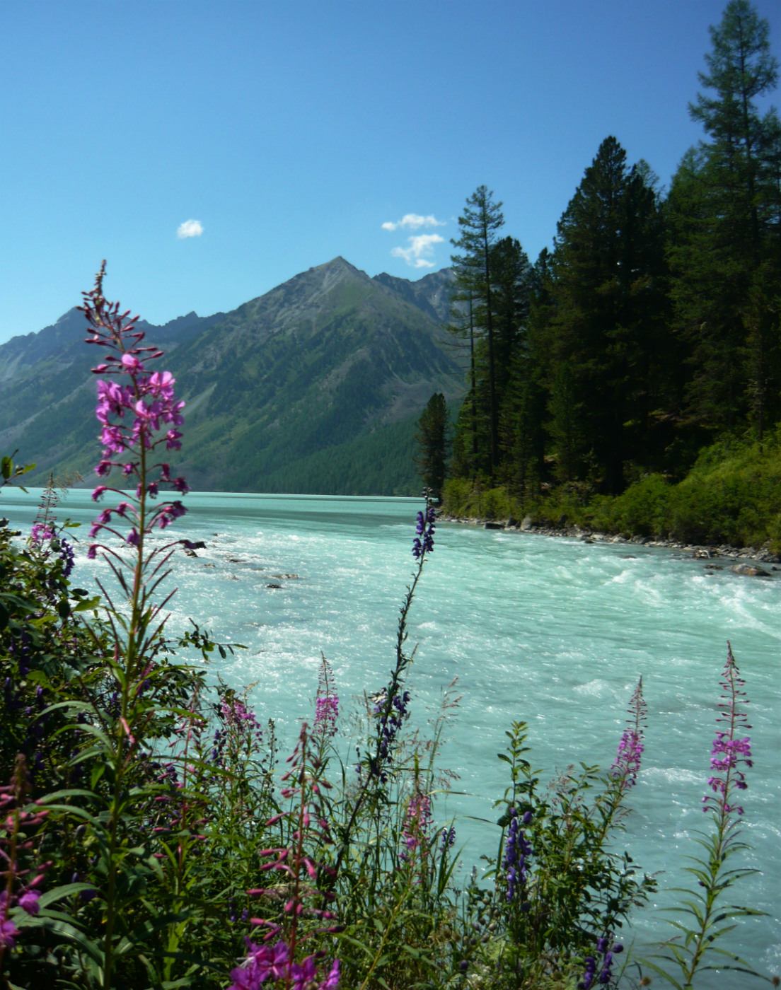 Озеро Кучерлинское, image of landscape/habitat.