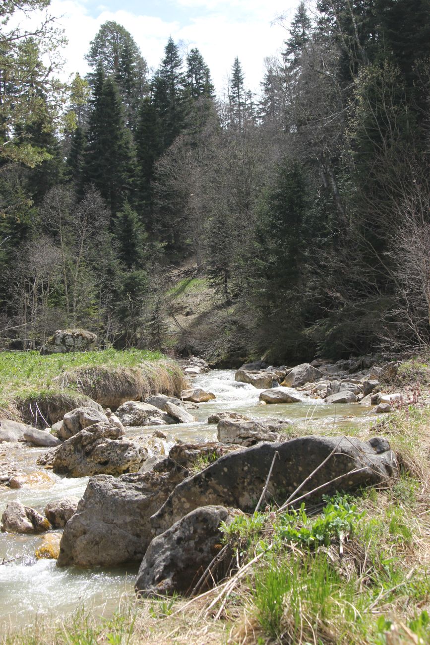 Окрестности истоков р. Курджипс, image of landscape/habitat.