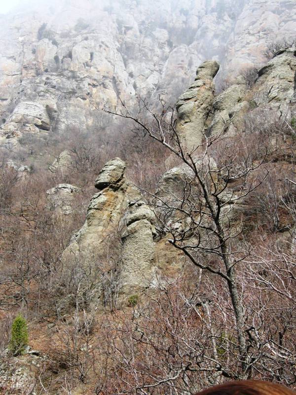 Южная Демерджи, image of landscape/habitat.