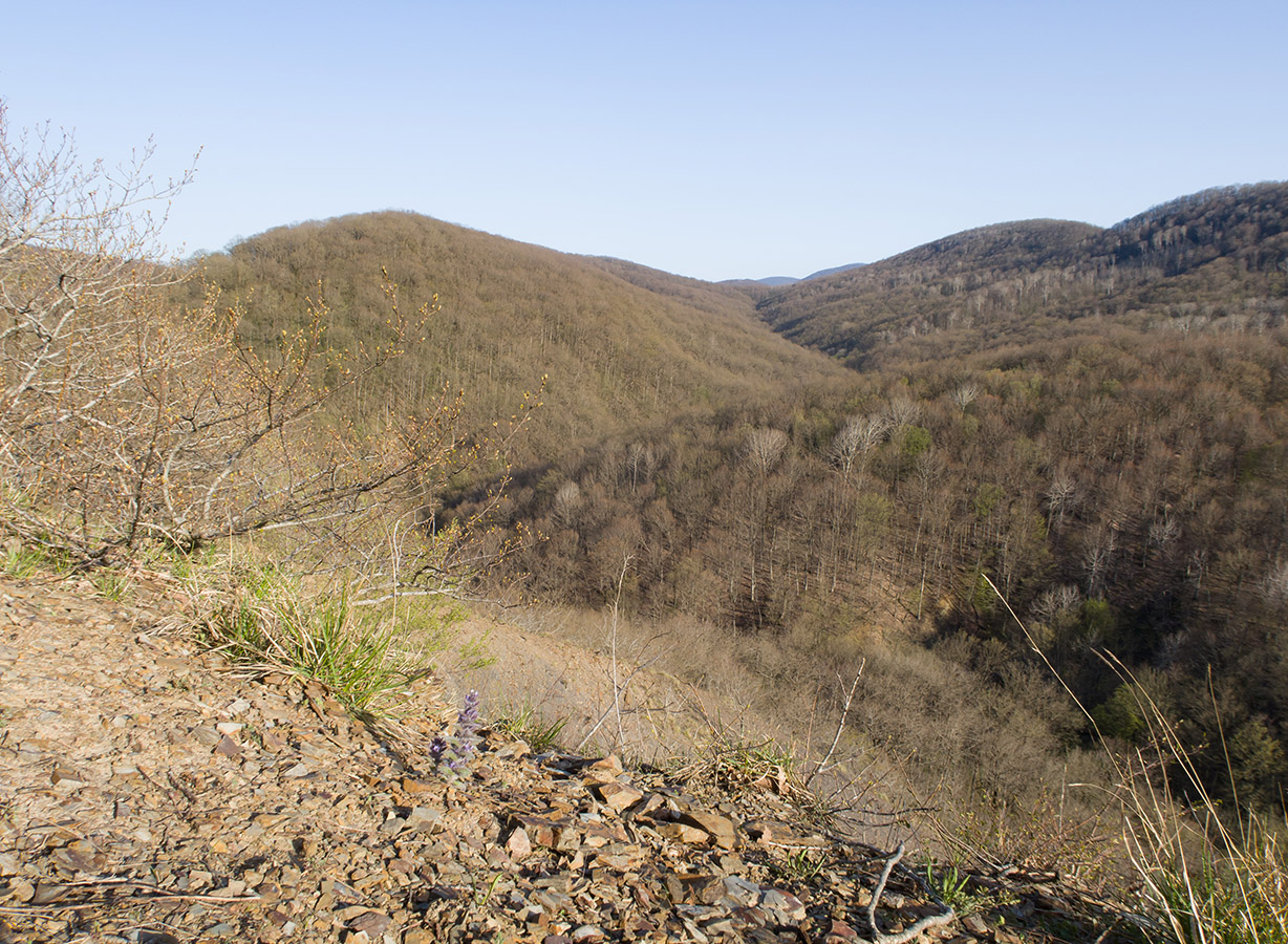 Чугунка, image of landscape/habitat.