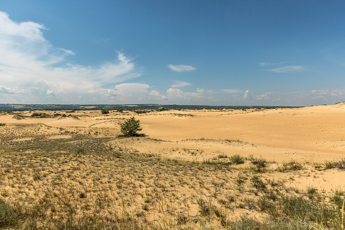 Большие Буруны, image of landscape/habitat.