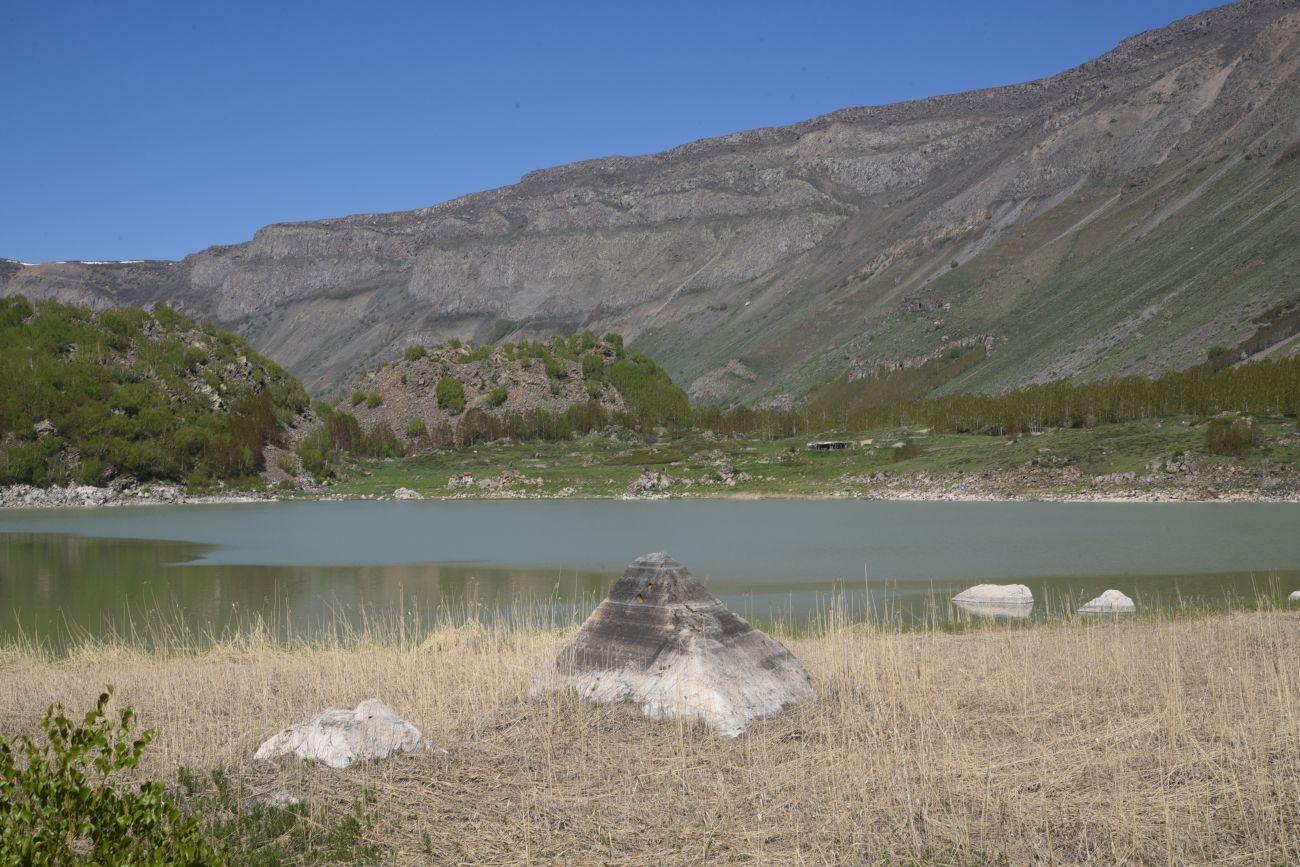 Окрестности озера Ылы, image of landscape/habitat.